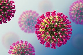 Impact de la pandémie à SARS-CoV-2 sur le dépistage du VIH et des IST bactériennes